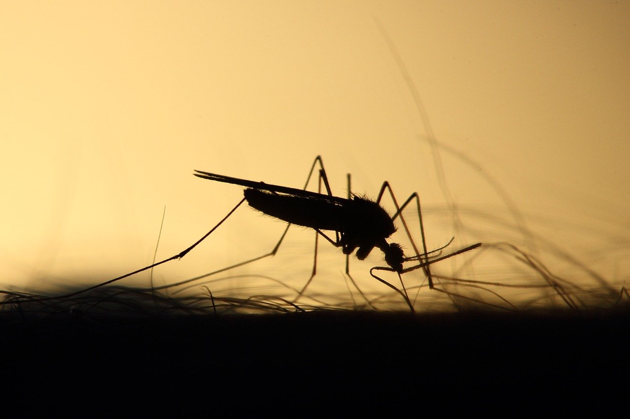 kako napraviti prirodni repelent - sprej protiv komaraca na bazi eteričnih ulja